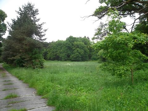 Foto 112